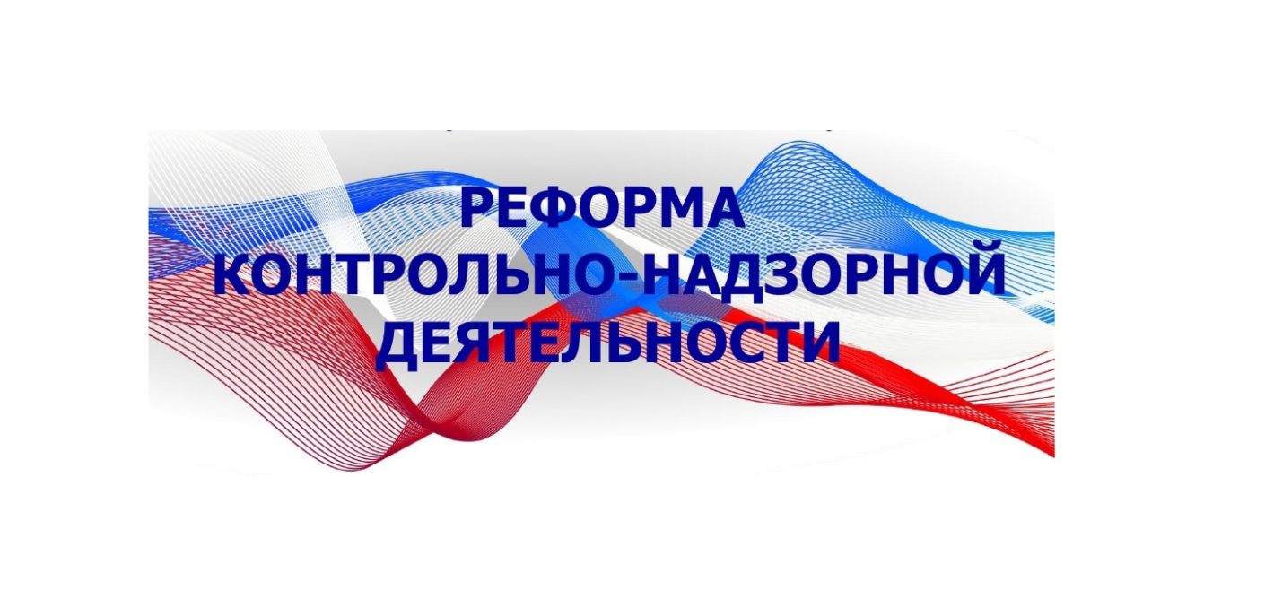 Основные направления реформы контрольной и надзорной деятельности